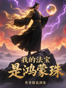 我的法宝是鸿蒙珠