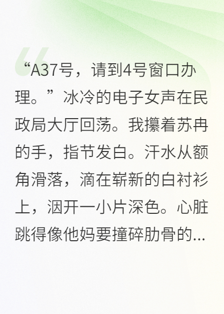 我的民政局无限轮回