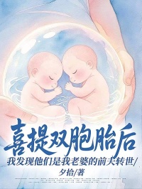 喜提双胞胎后，我发现他们是我老婆的前夫转世