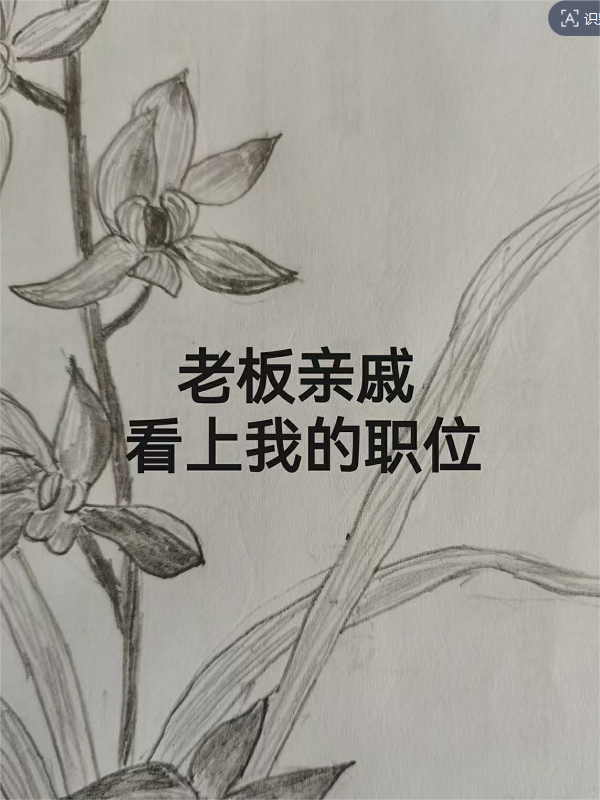 老板亲戚看上我的职位
