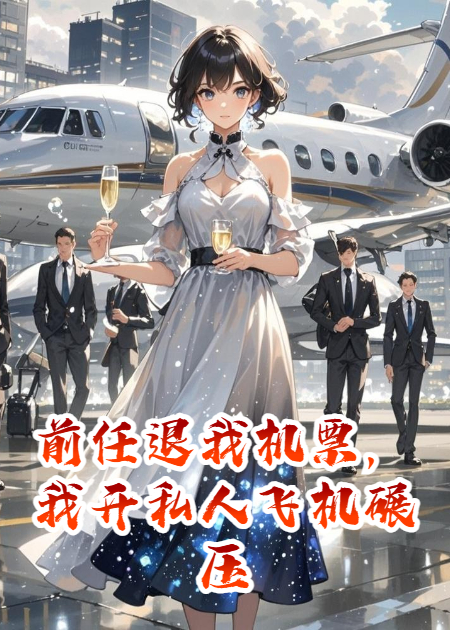 前任退我机票，我开私人飞机碾压
