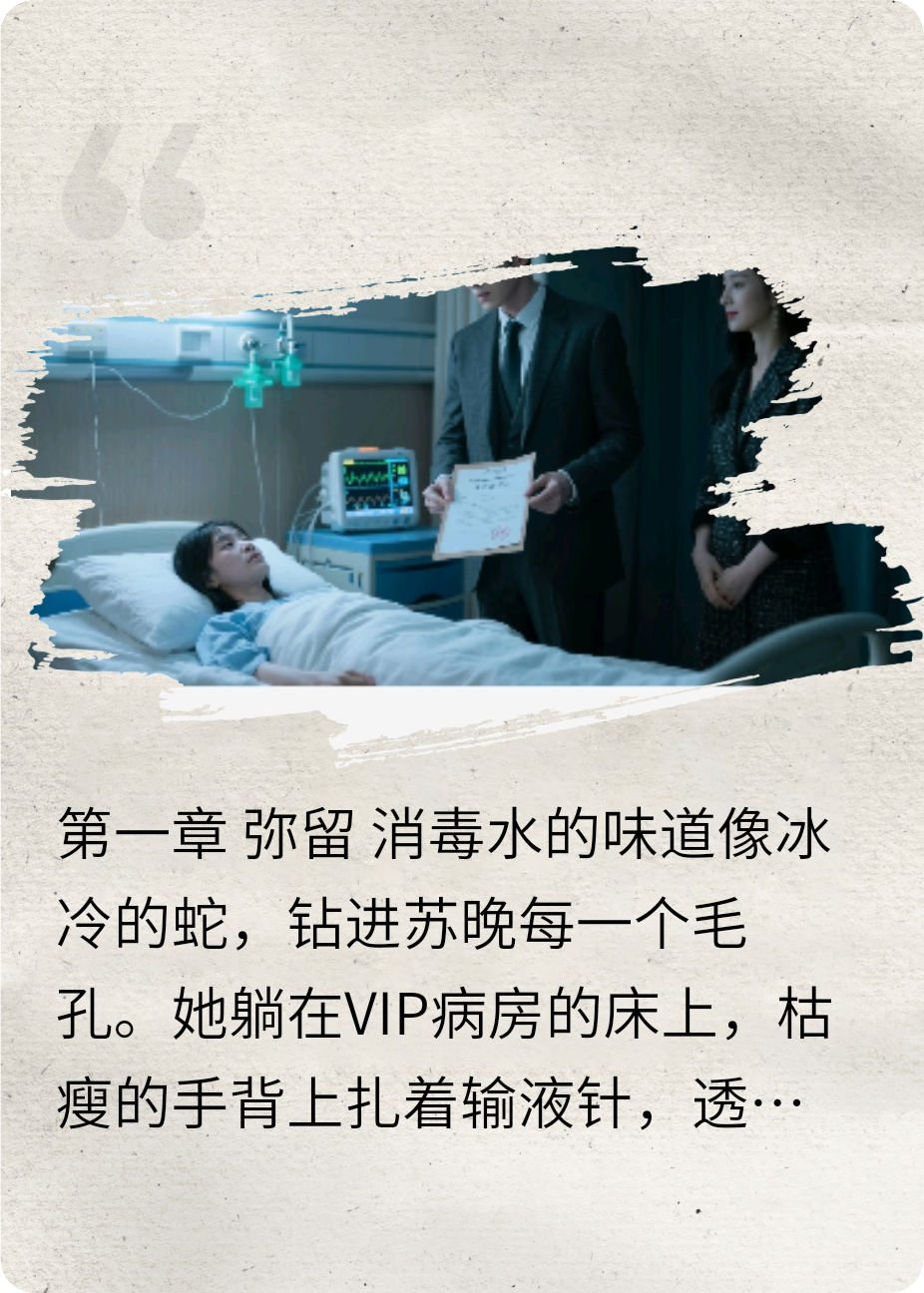 逆转时光的爱恋