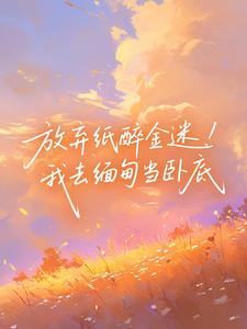 放弃纸醉金迷！我去缅甸当卧底
