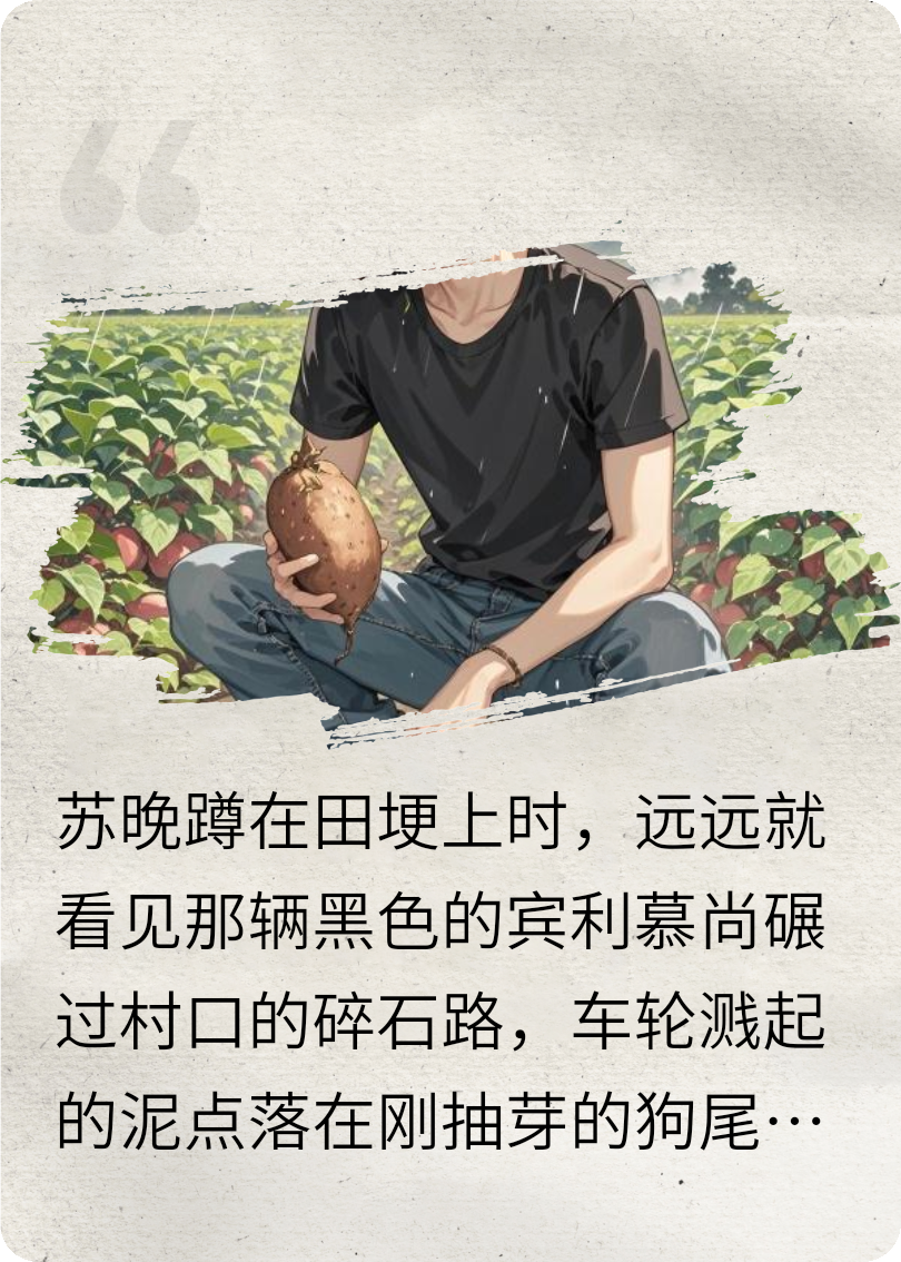 红薯藤下的他