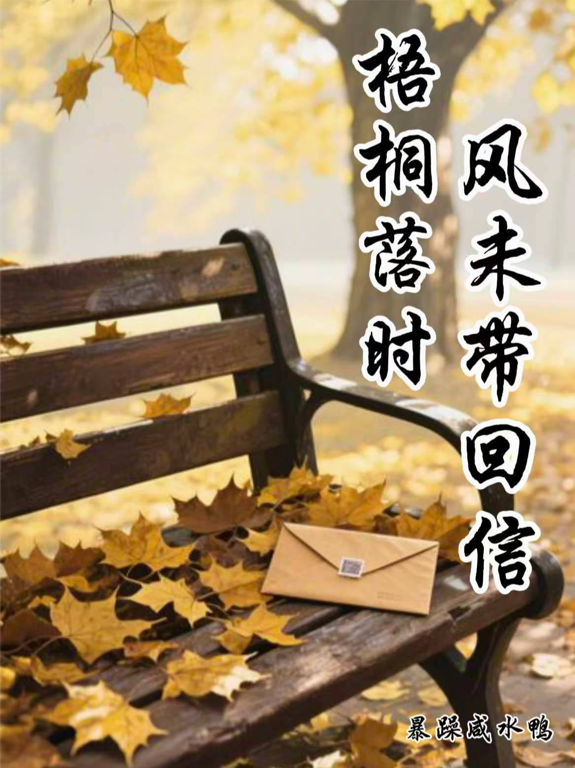 梧桐落时，风没带回信