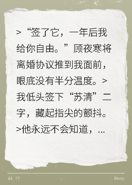 总裁的替身竟是大佬