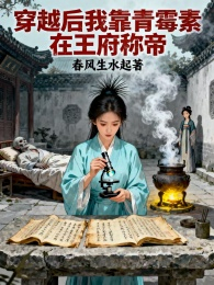 穿越后我靠青霉素在王府称帝