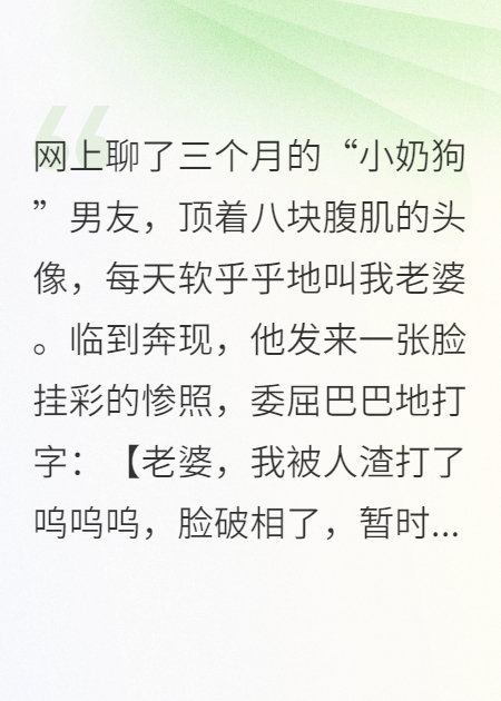 网恋对象竟是我揍过的太子爷