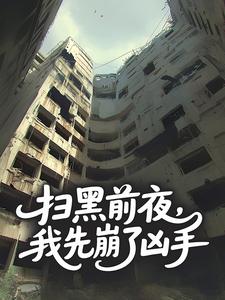 扫黑前夜，我先崩了凶手