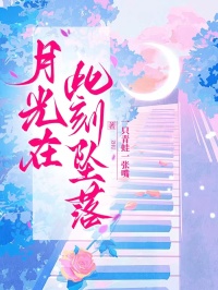 月光在此刻坠落