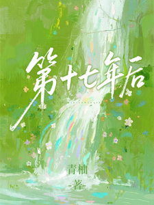 第十七年后