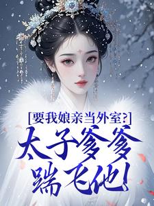 要我娘亲当外室？太子爹爹踹飞他！