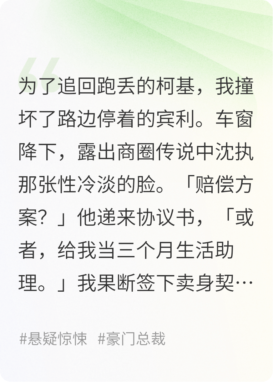 撞坏宾利后，车主让我分期付款