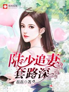 陆少追妻套路深