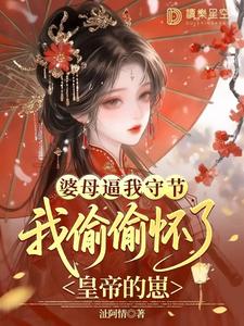 婆母逼我守节，我偷偷怀了皇帝的崽