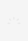 深渊密卡 （上） 