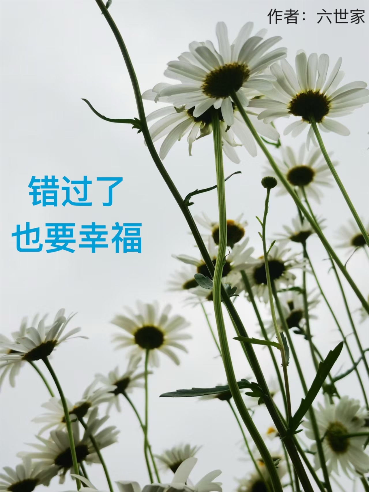 错过了也要幸福