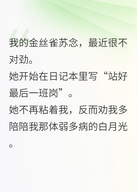 女友弹幕说我会死