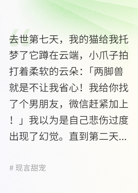 去世第七天，我的猫给我托梦了