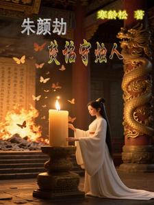 朱颜劫：焚诏守烛人