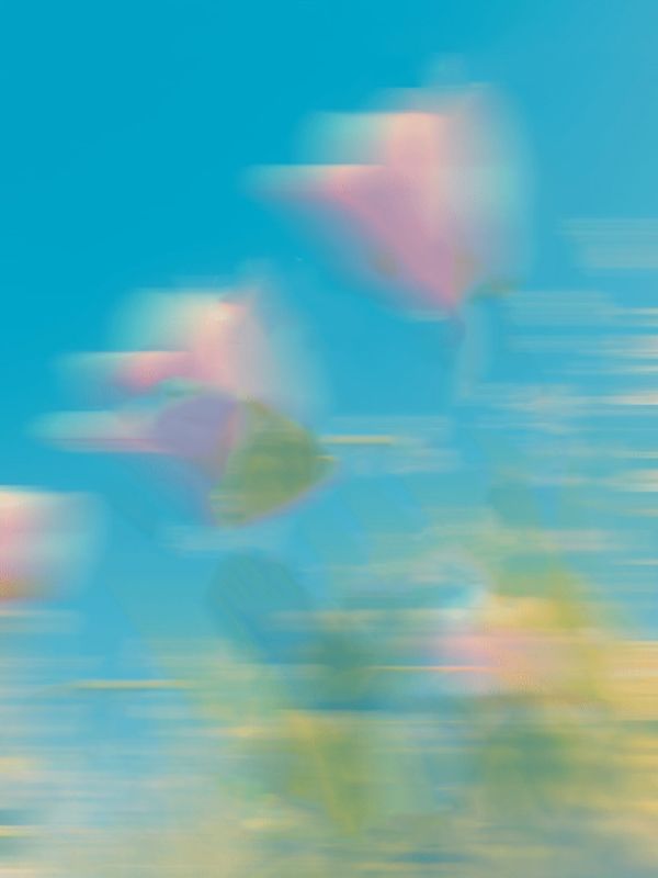 被室友得知我是抱错的假千金后，她嘲疯了