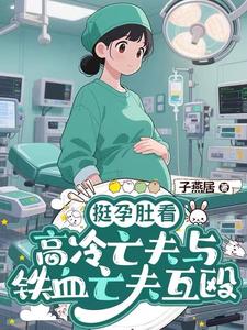 挺孕肚看高冷亡夫与铁血亡夫互殴