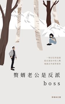 赘婿老公是反派boss