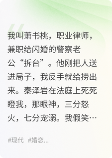 我，律所扛把子，被警界天花板拿捏了