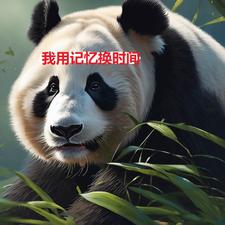 我用记忆换时间