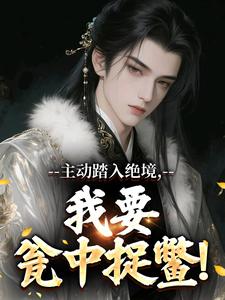 主动踏入绝境，我要瓮中捉鳖！