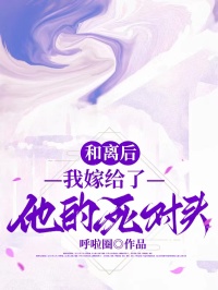 和离后，我嫁给了他的死对头