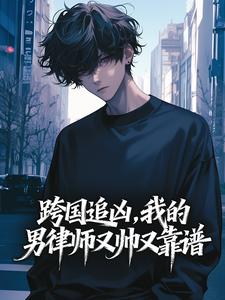 跨国追凶，我的男律师又帅又靠谱