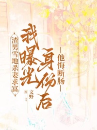 渣男雪地杀妻求富，我曝光身份后他悔断肠