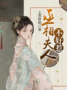 丞相夫人不好惹