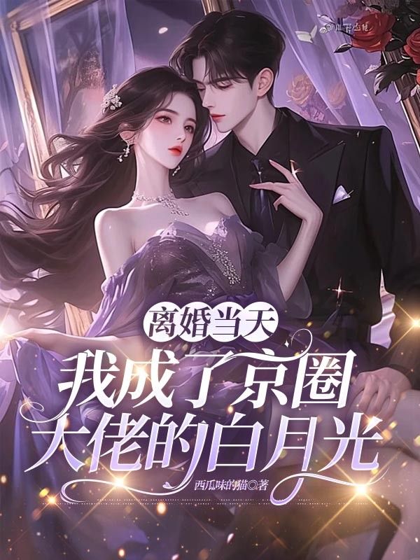 离婚当天，我成了京圈大佬的白月光