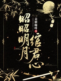 昭昭明月绾君心