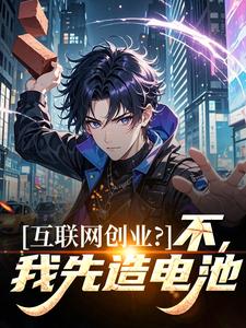 互联网创业？不，我先造电池