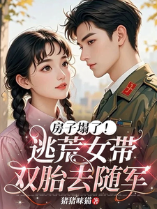 房子塌了！逃荒女带双胎去随军