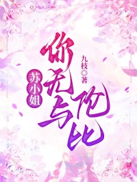 苏小姐，你无与伦比