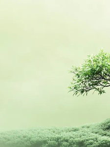 末世倒计时开始