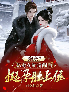 炮灰？恶毒女配觉醒后挺孕肚上位