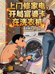 上门修家电，开局富婆卡在洗衣机