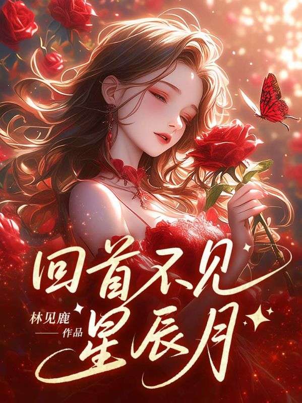 回首不见星辰月