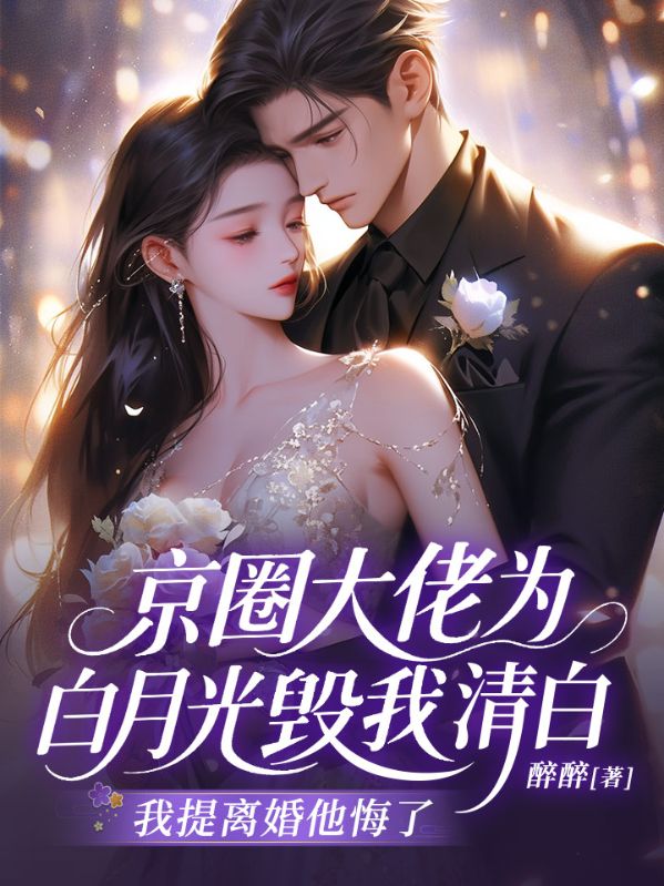 京圈大佬为白月光毁我清白，我提离婚他悔了