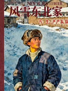 重生七五年：风雪东北家