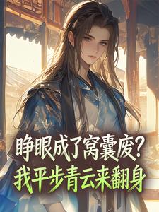 睁眼成了窝囊废？我平步青云来翻身