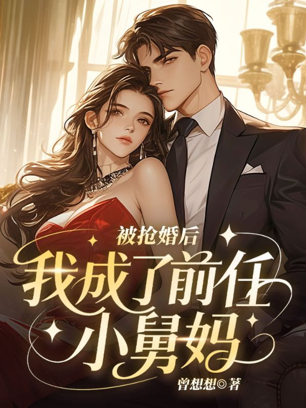 被抢婚后，我成了前任小舅妈