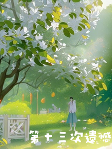 第十三次遗憾