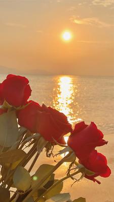 儿子爱上杀父仇人，还劝我原谅她