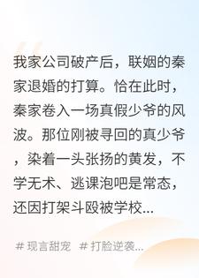 破产后，我的联姻对象换成了黄毛真少爷